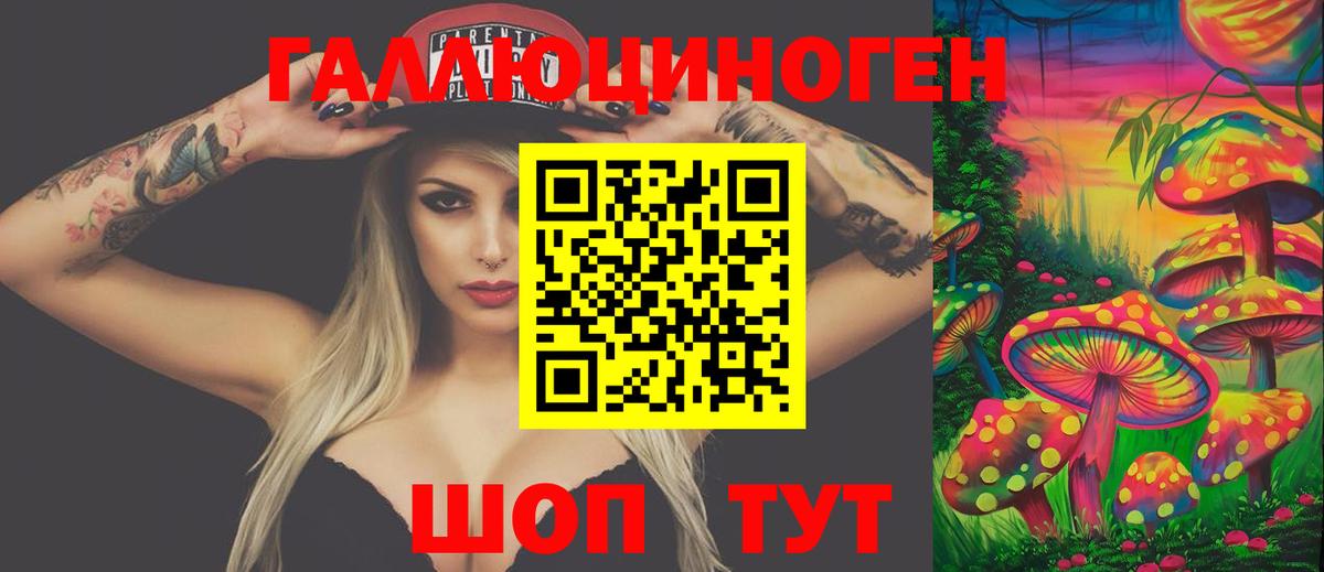 Псилоцибиновые грибы Psilocybe Курчатов