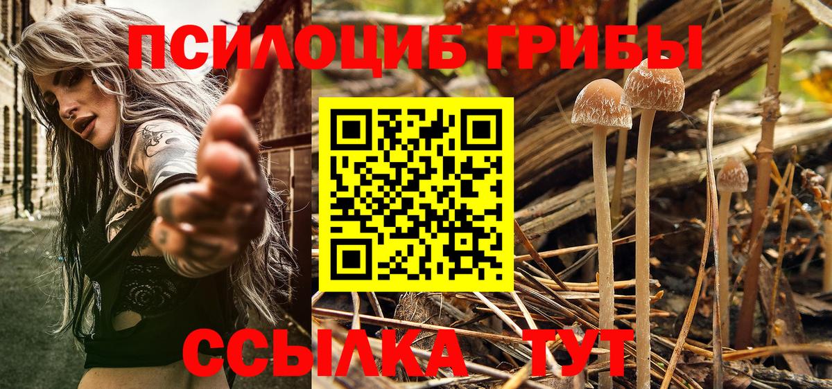 Курчатов  Галлюциногенные грибы мухоморы  Вход с VPN 