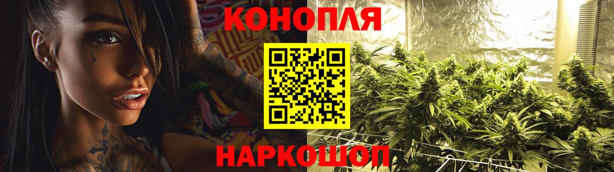 Бошки марихуана тримм  Шишки марихуана White Widow  Конопля марихуана  Вход с VPN  Бошки Шишки THC 21%  Курчатов 